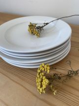 Assiettes plates faience blanche annees 70/80.