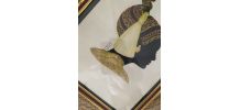 Profil femme africaine annees 70.