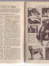 almanach hachette 1950 