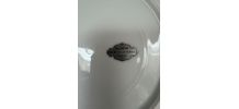 Lot de 25 assiettes à dessert Damon fin 19e