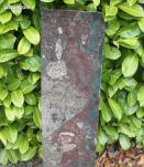 Plaque marbre  ancienne épaisseur 3cm