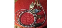 lampe fer nickelé 1900 a 20 tulipe verre papillon 32x16