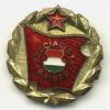 broche - szocialista brigad - hongrie - 