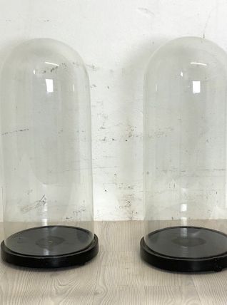 Paire de globes de mariée XIXème siècle