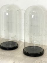 Paire de globes de mariée XIXème siècle