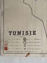 Carte scolaire vintage 1950 recto verso "Tunisie / Algérie"