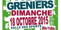 Vide grenier de Carcans