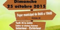 Vide-grenier Guilliers