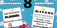 Le troc des jouets Ploemel