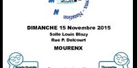 Vide-joujoux/vide-pousettes Mourenx