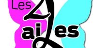 Vide grenier des 2ailes Boqueho