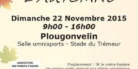Vide-grenier Plougonvelin