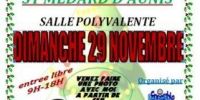 Vide-jouet Saint Medard d'Aunis
