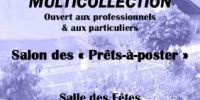 13ème bourse multicollections de Saint Denis en Val