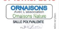Vide-grenier d'Ornaisons