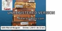 Vide-grenier de Plabennec