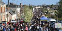 Vide-grenier de Jarze