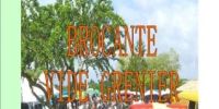 Brocante vide-grenier de Sainte Terre