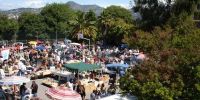 Vide greniers-vide jardinsdles palmiers mont boron de Nice