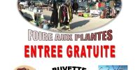 Vide-greniers et foire aux plantes de Longchamp