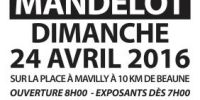 Vide-greniers et Vente de Plantes de Mavilly Mandelot