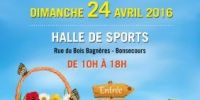 Marché artisanal de Bonsecours