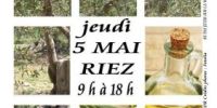 Fête de l'olive - Vide-grenier