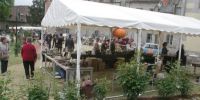 Brocante, vide-grenier, troc-jardin, exposition avicole DE CROCQ