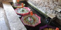 Vide-greniers troc aux plantes et marche aux plantes Marcellois