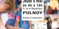 Brocante videgreniers de Pulnoy