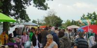 Vide grenier des floralies