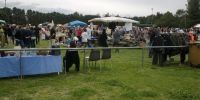 Vide grenier