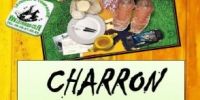 Videgrenier brocante de CHARRON