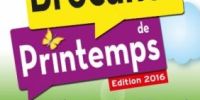 Brocante videgreniers de Domont