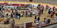 Vide grenier de l'ape