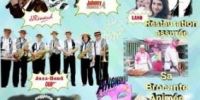 Brocante videgreniers de MERCKEGHEM