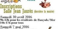 Vide-grenier Banyuls Sur Mer