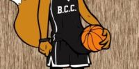 Vide grenier du basket club Chateaurenardais