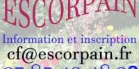 Foire à Tout Escorpain