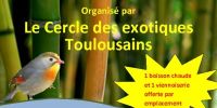 Grand vide grenier de Roques sur garonne