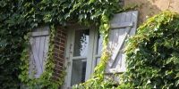 Brocante d'été Fretigny