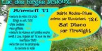 Brocante - Vide-grenier Ychoux
