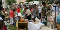 Foire à la Laine Nieuil L'Espoir