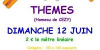Vide-grenier Themes