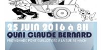 Brocante videgreniers de LYON