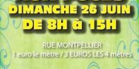 Marché aux Puces Vermelles