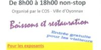 Vide-greniers Oyonnax