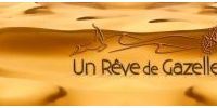Vide Grenier au Profit de l'Association un Reve de Gazelles Grasse