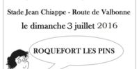 Vide-greniers Roquefort Les Pins