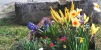 Vide-grenier et brocante Rahon